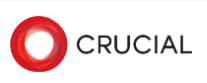 Лого Crucial
