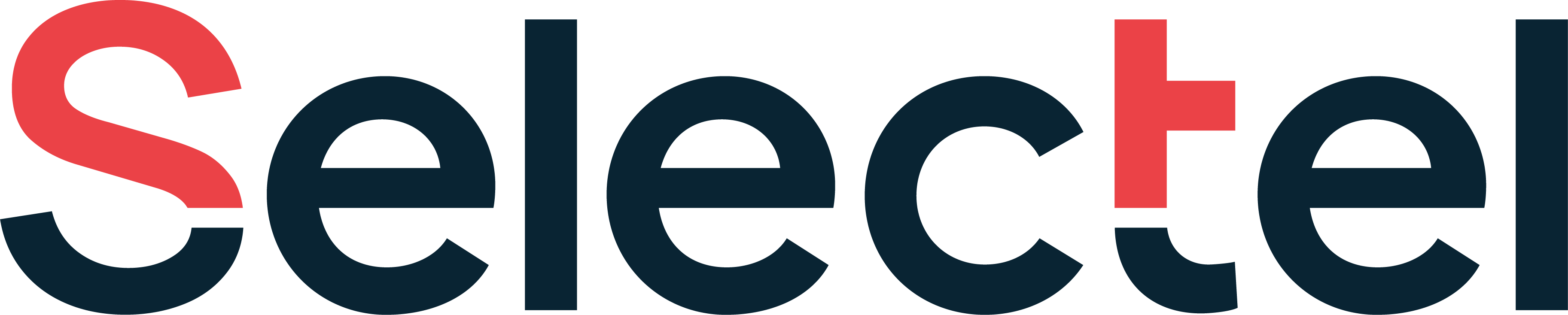Лого Selectel
