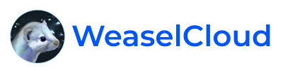 Лого WeaselCloud